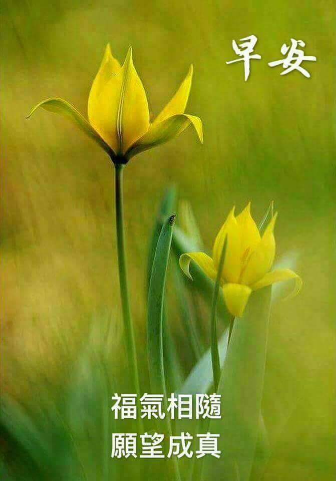 早安圖下載
